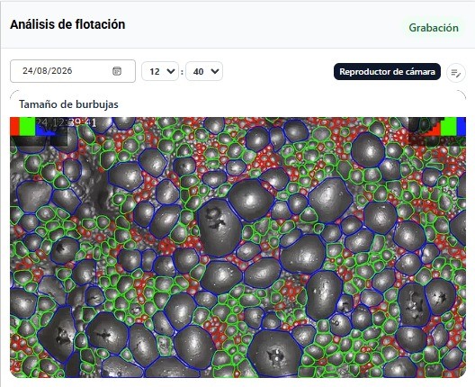 Captura de la sección Distribución de burbujas dentro de Análisis de flotación